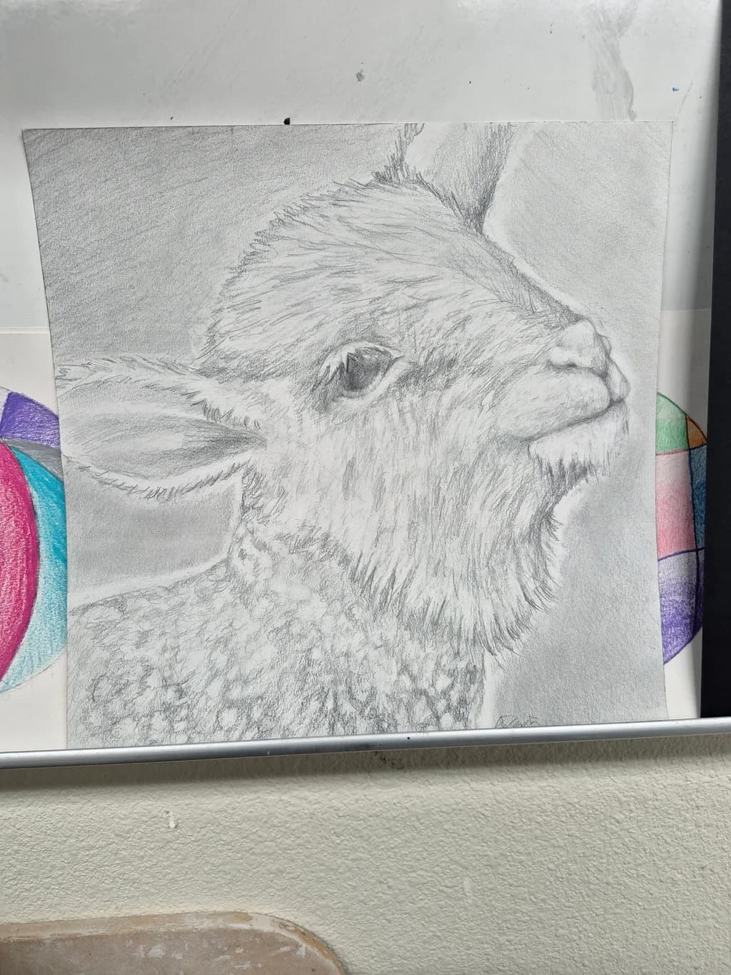 Quiet Lamb