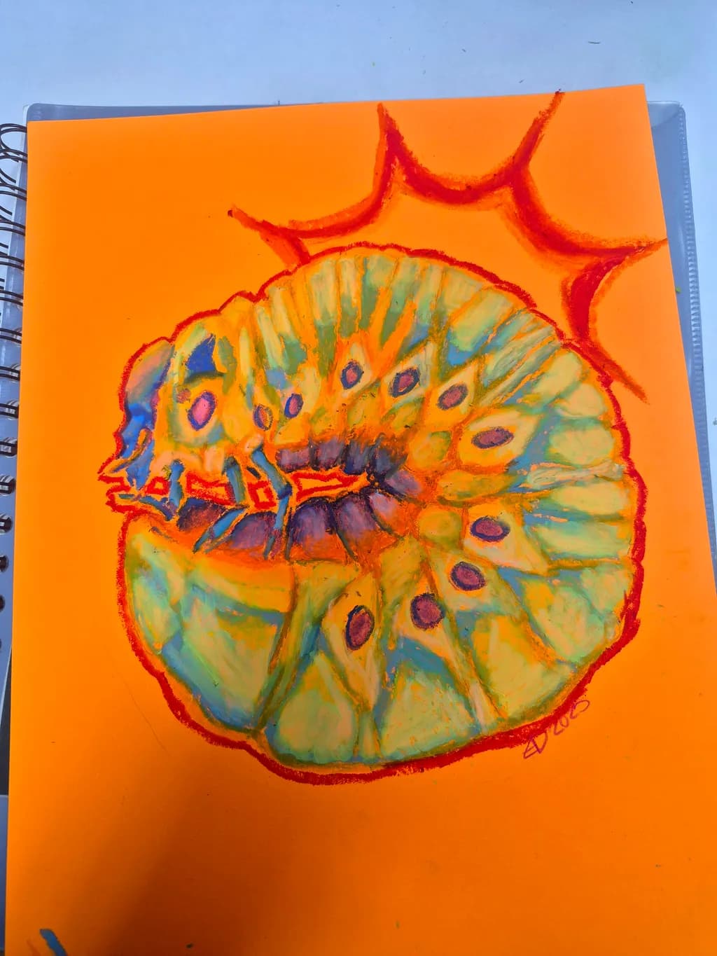 Sunlit Caterpillar Spiral