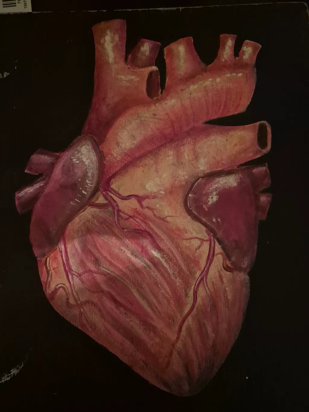 Anatomical Heart Study