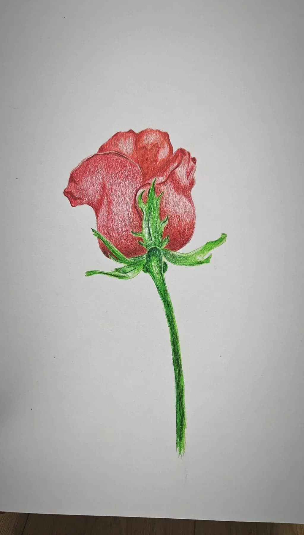 Crimson Bloom