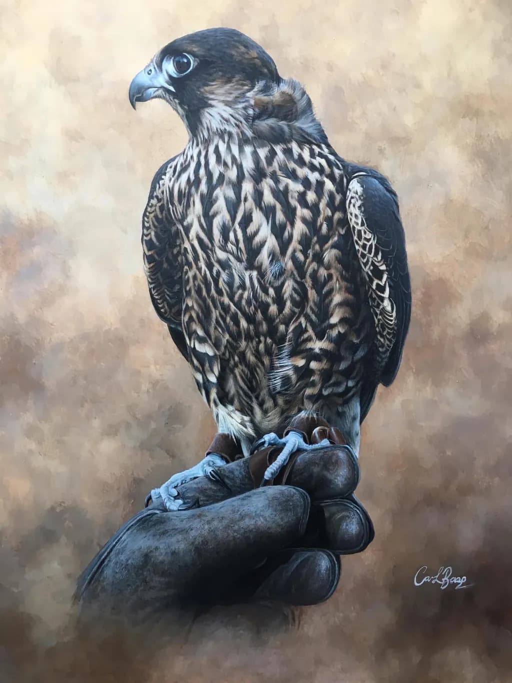 Falconer's Grip