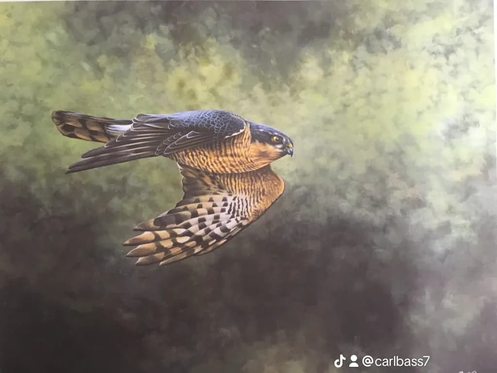 Silent Glide