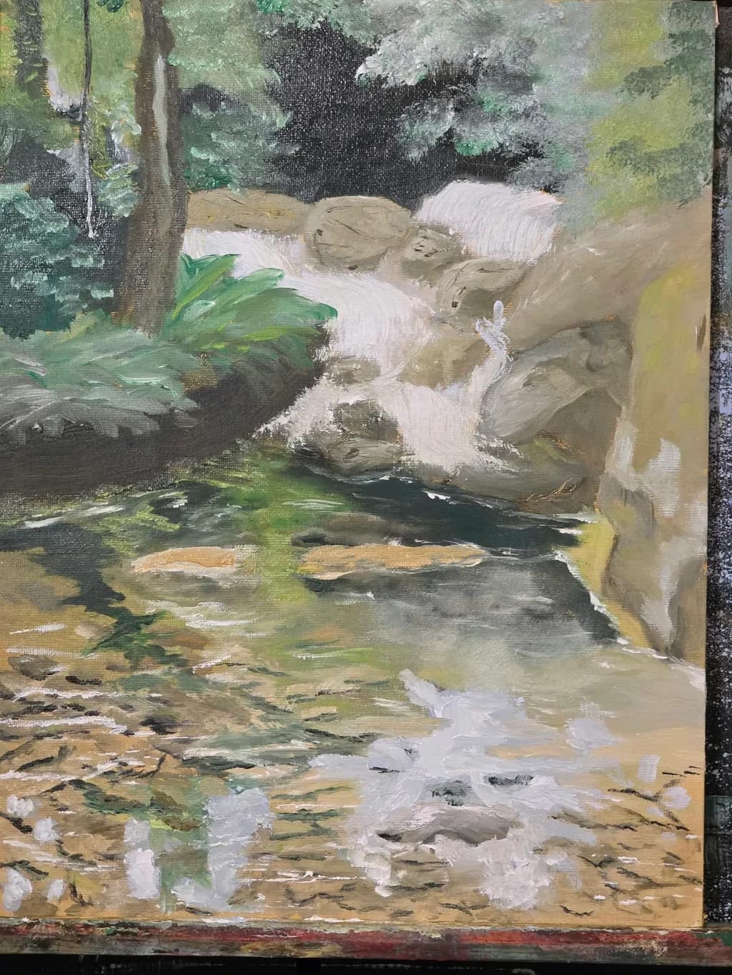 Forest Waterfall Rocks