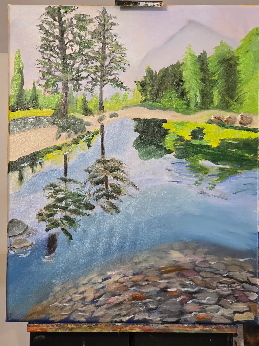 Pine Reflections