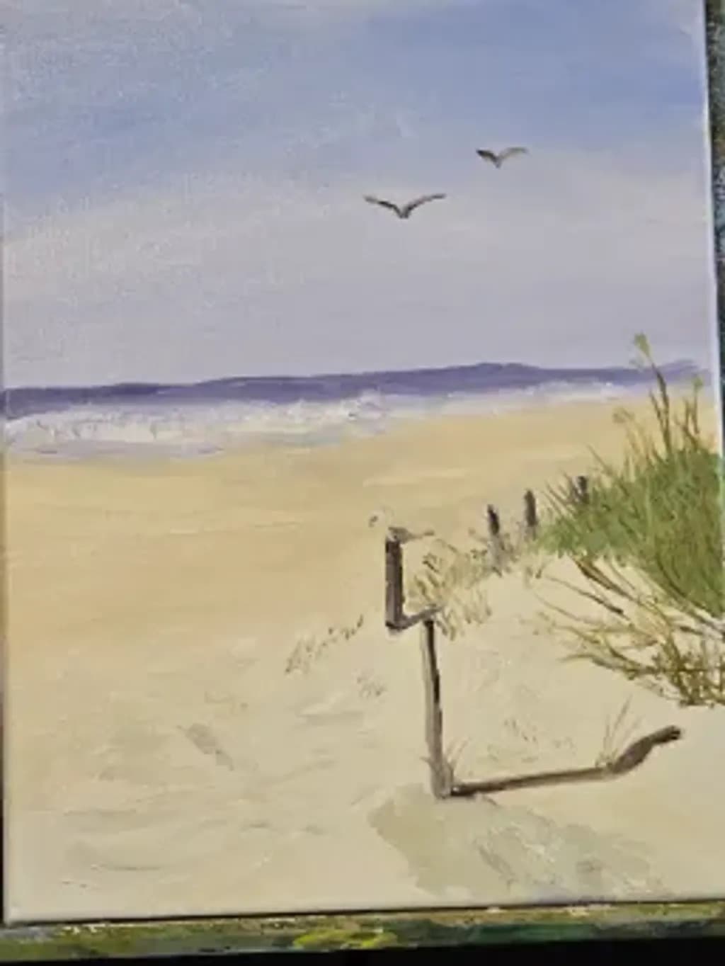 Beachside Flight