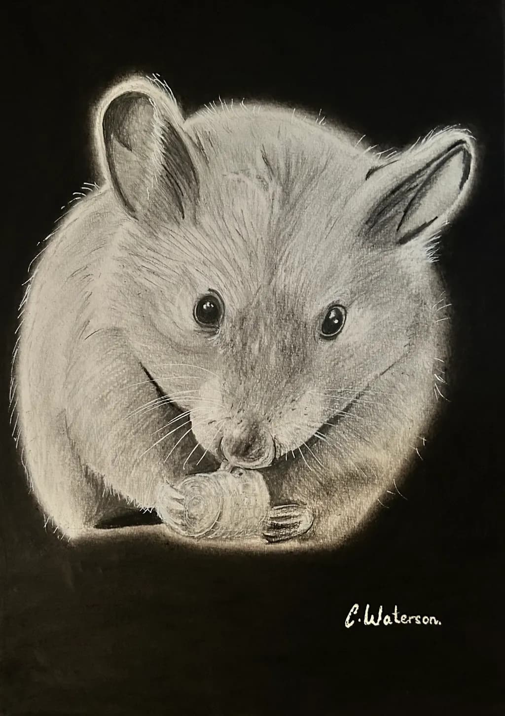 Nutcracker Mouse