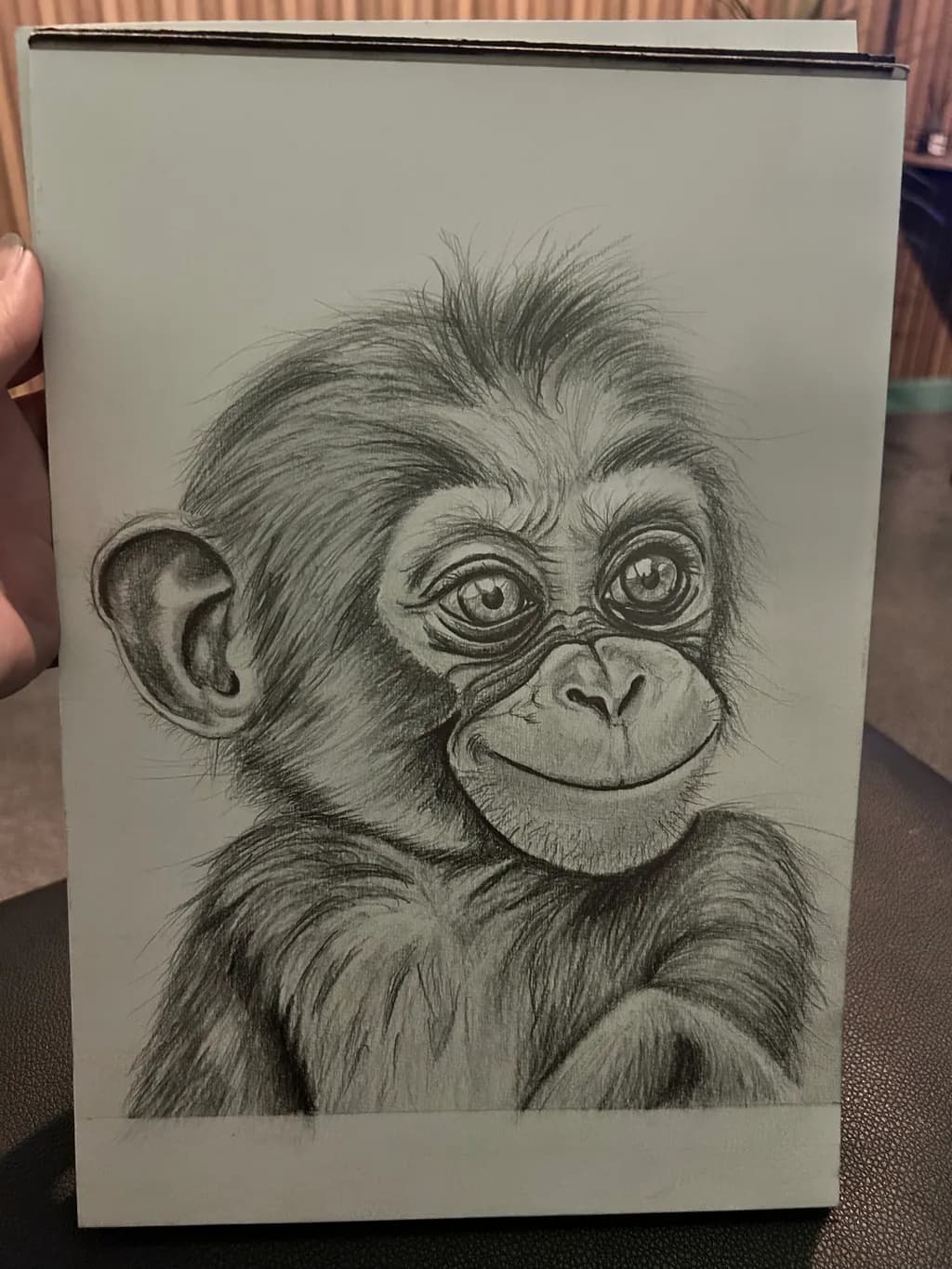 Curious Chimpanzee