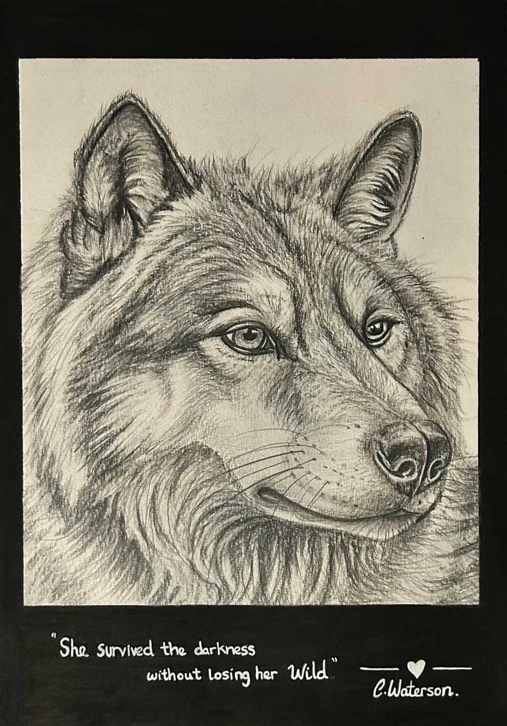Wild Wolf Portrait