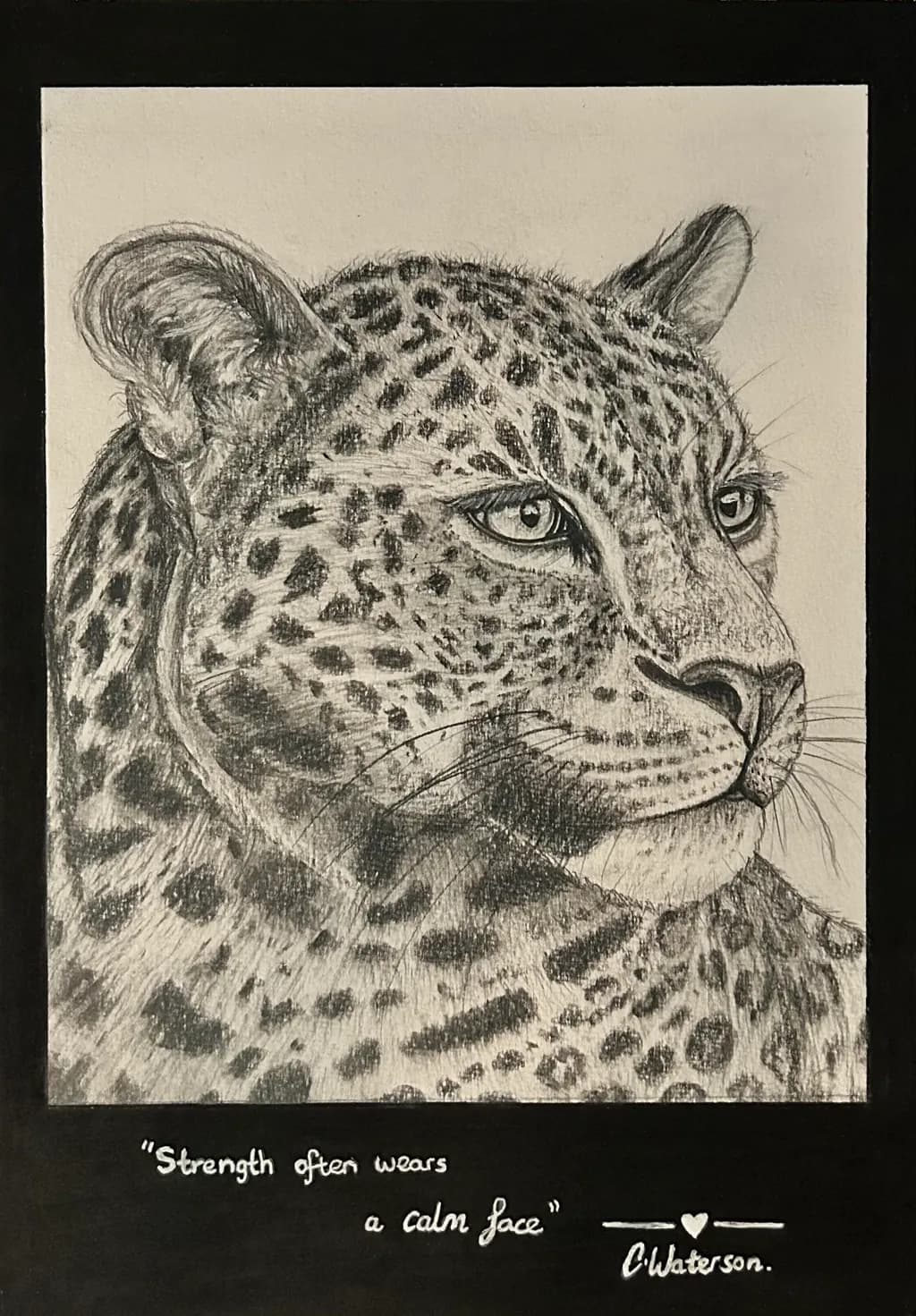 Calm Strength Leopard Portrait