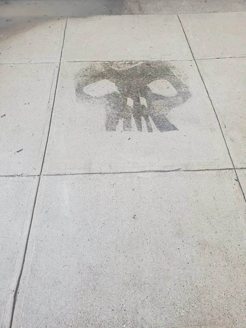 Faded Skull Shadow