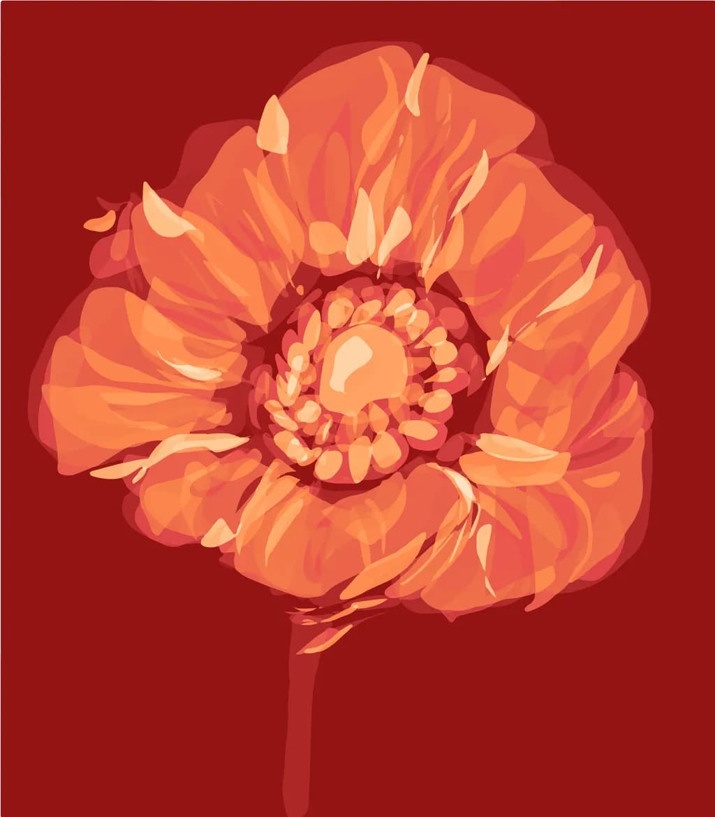 Orange Flower on Red