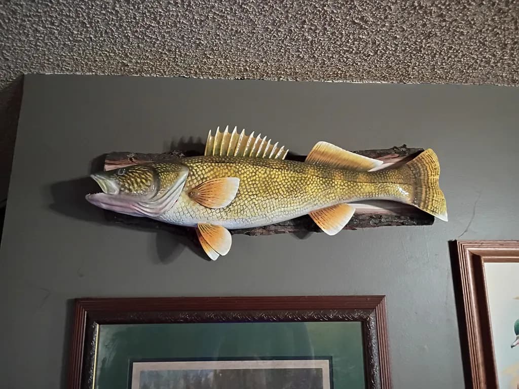 Mounted Walleye