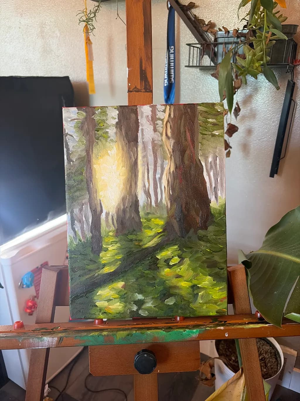 Sunlit Glade