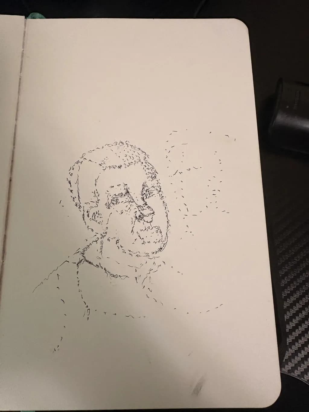 Fragmented Portrait