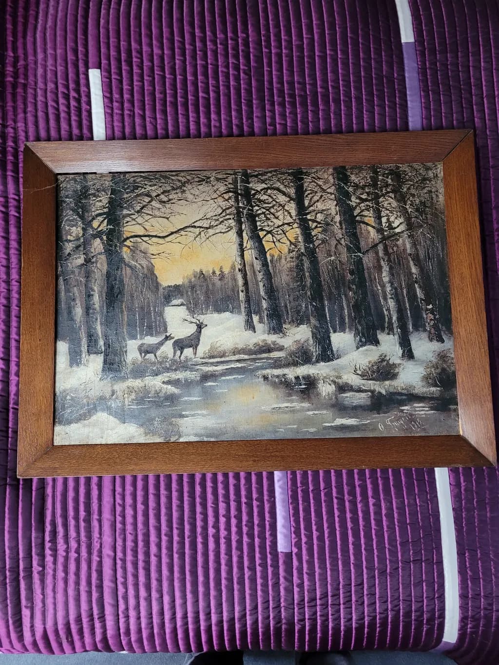 Winter Watch