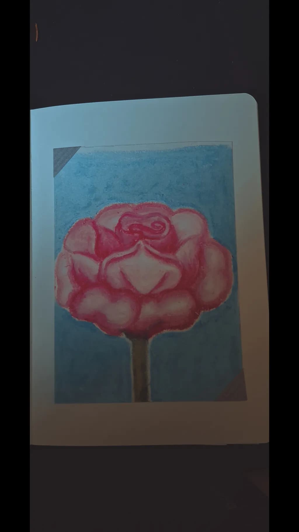 Blooming Spiral