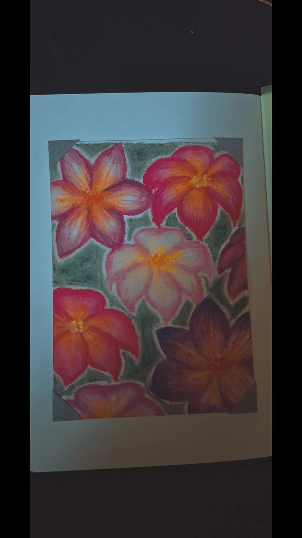 Tropical Blooms