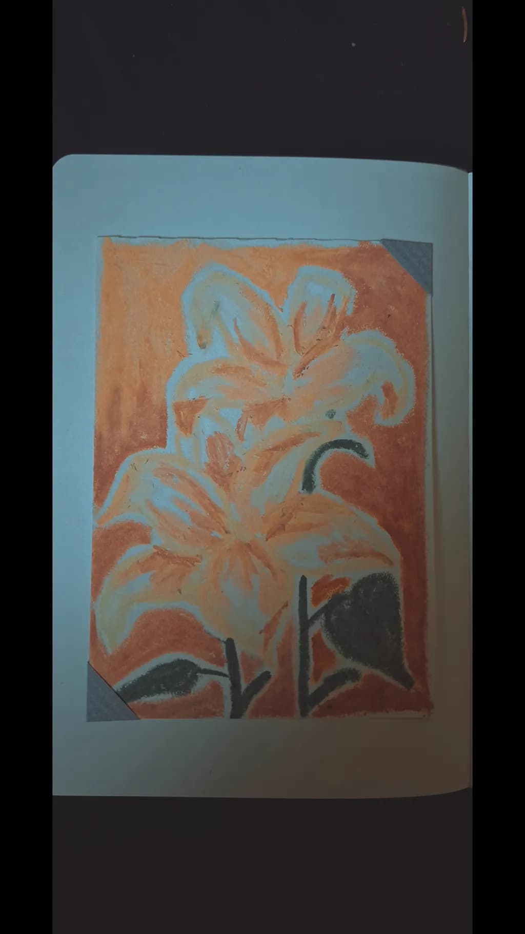Orange Lilies