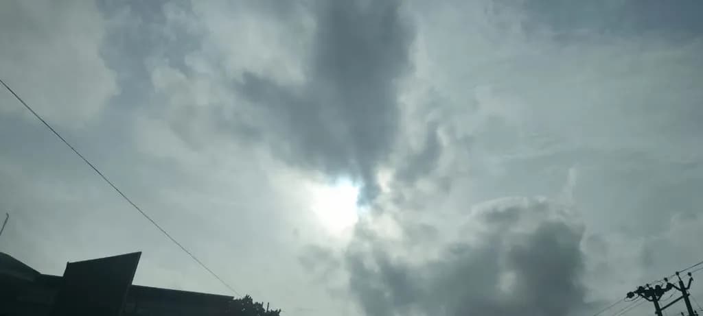 Veiled Sunlight