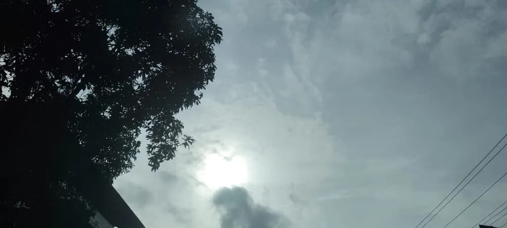 Sun Veiled