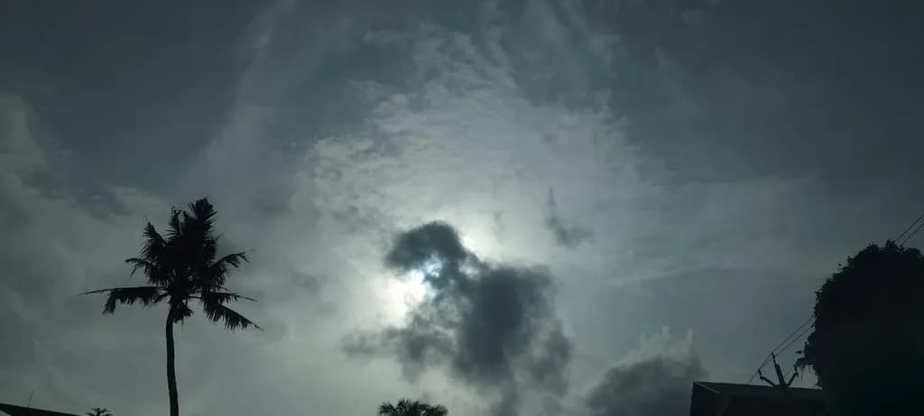Shadowed Sunlight