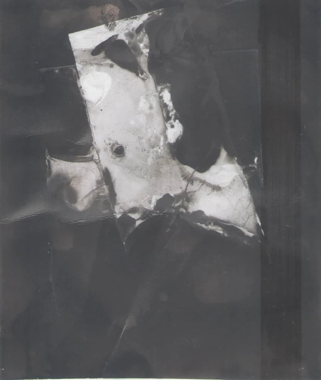 Fragmented Portrait