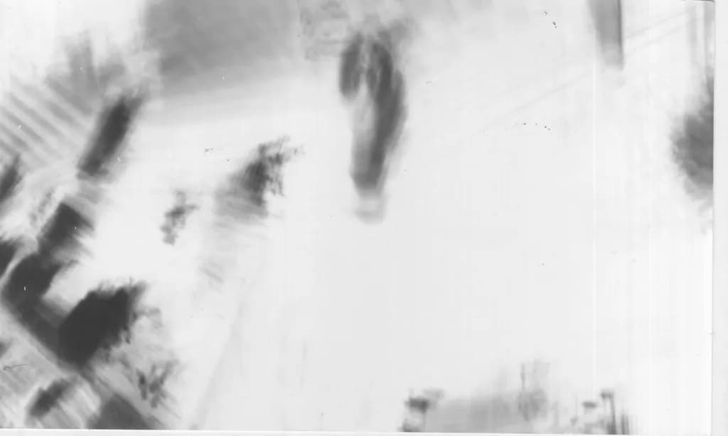 Shadowed Echoes