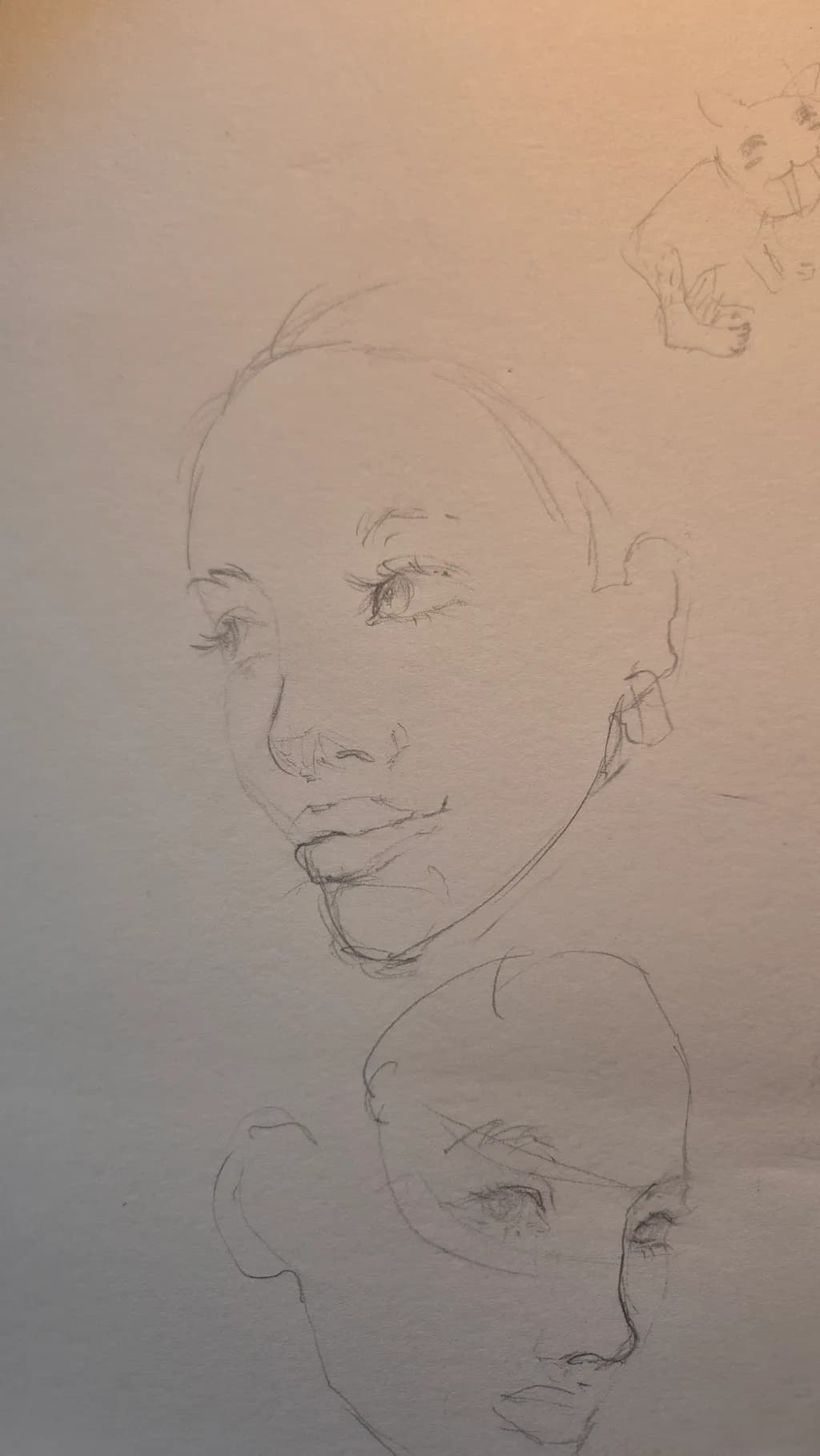 Contour Reflections