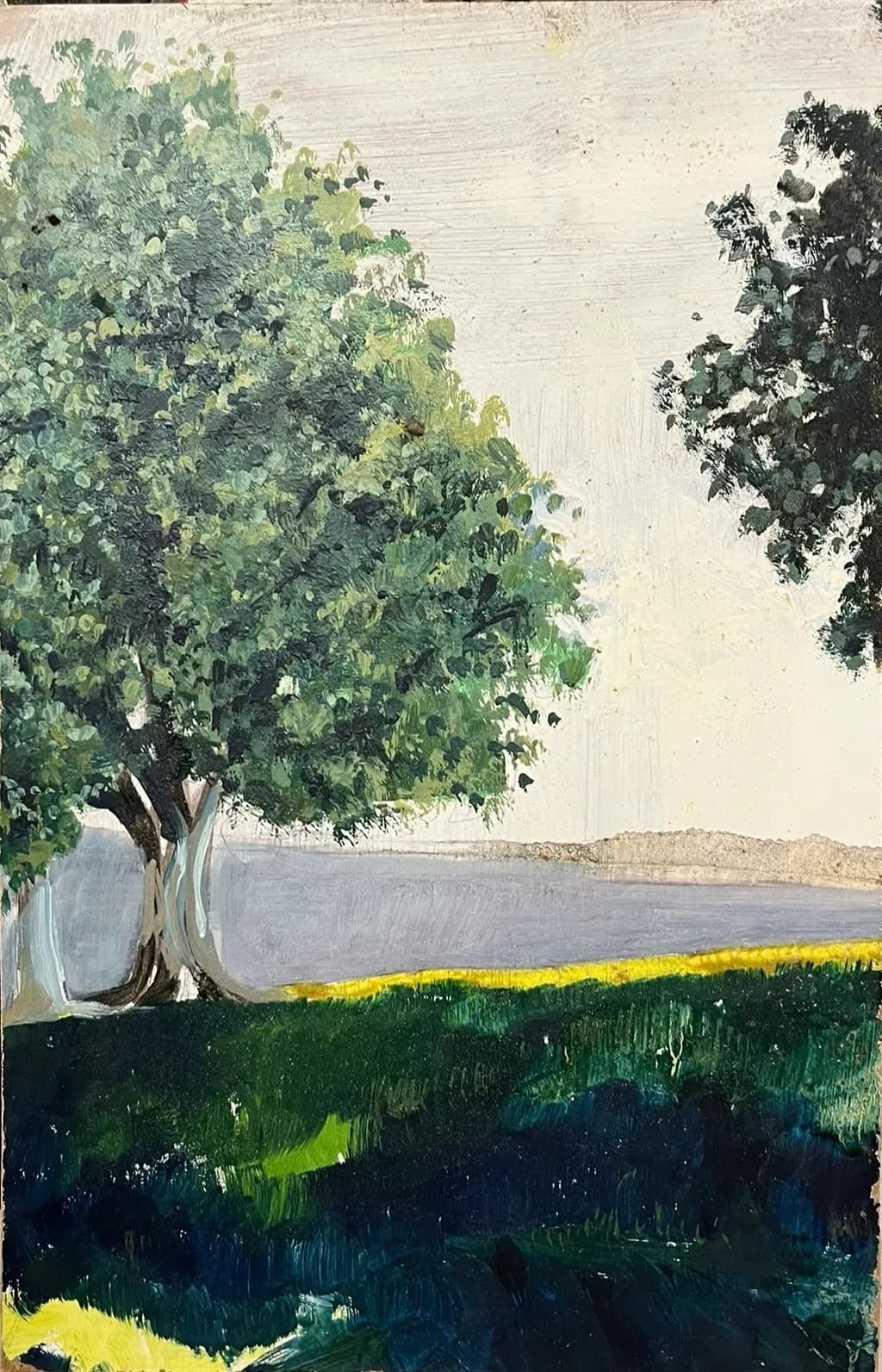 Coastal Trees