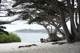 Cypress Beach Shade