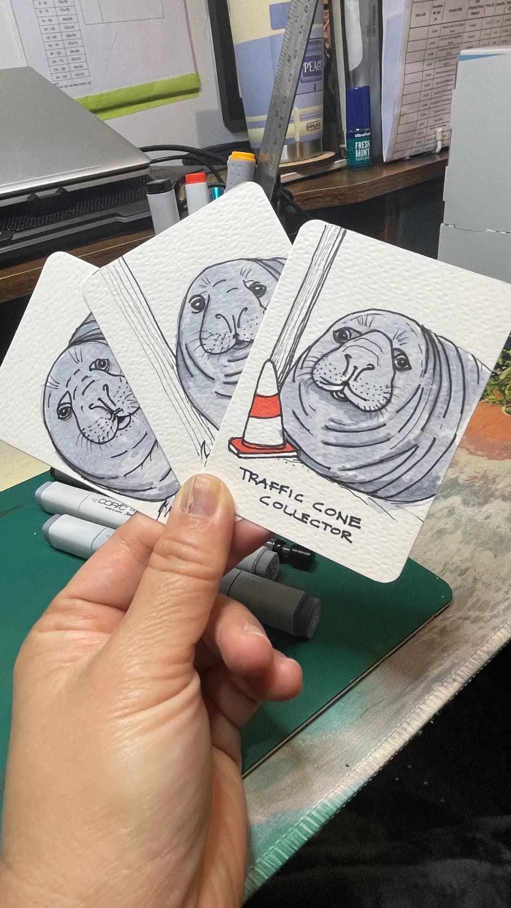 Traffic Cone Collector