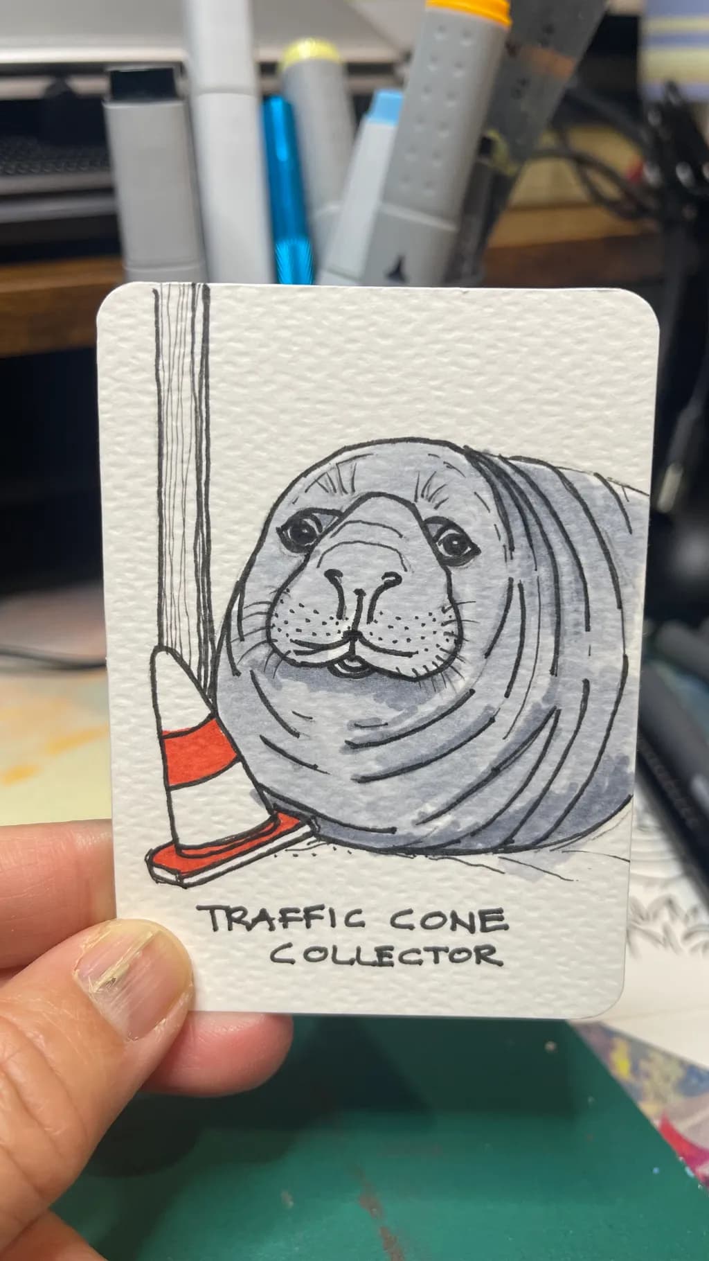 Traffic Cone Collector