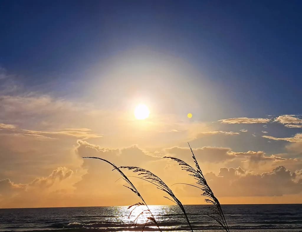 Golden Horizon