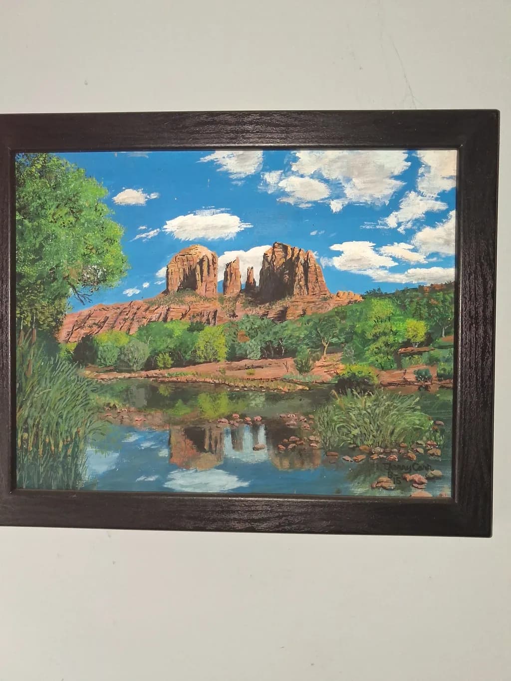 Desert Reflection