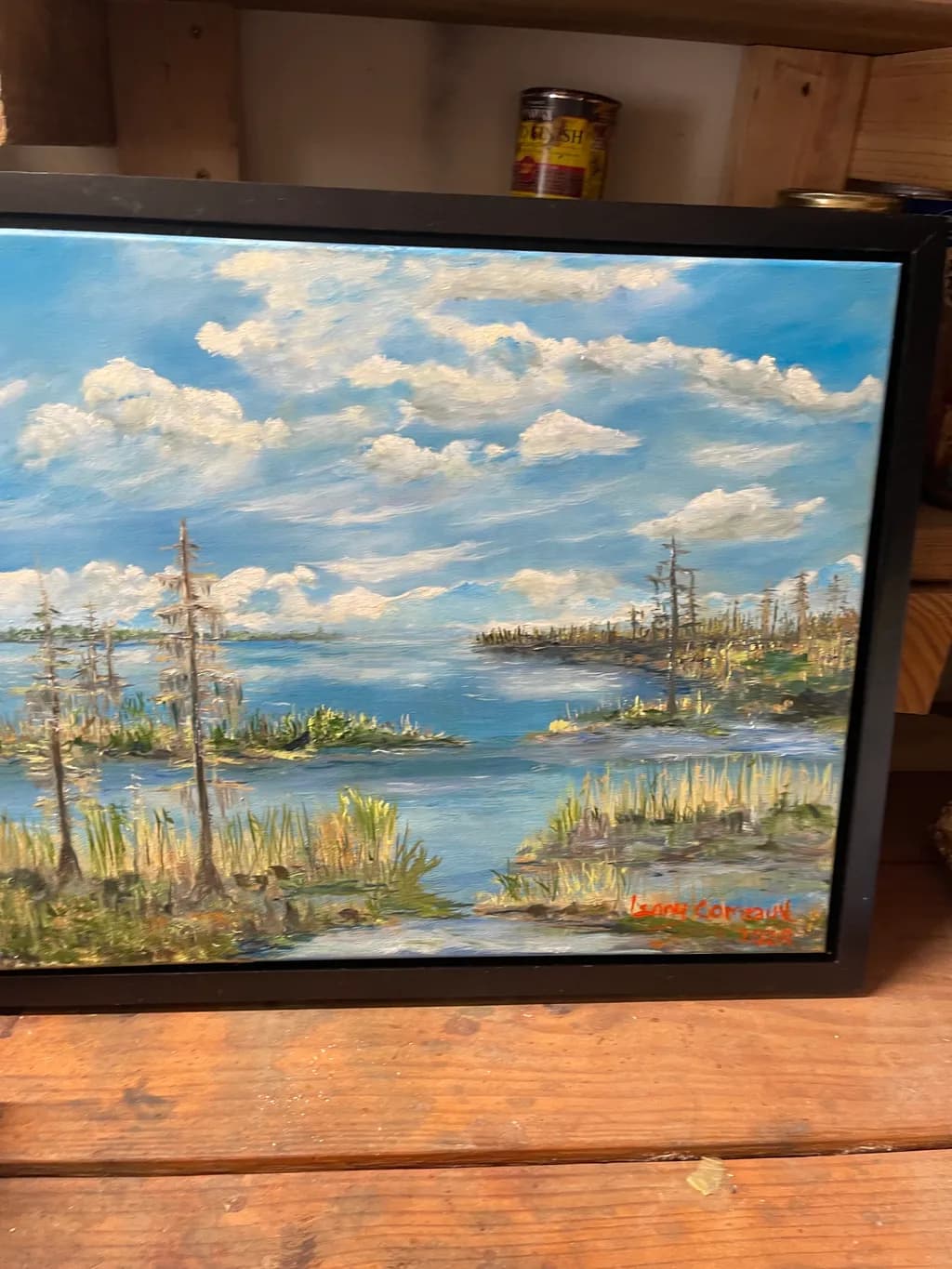 Marshland Horizon