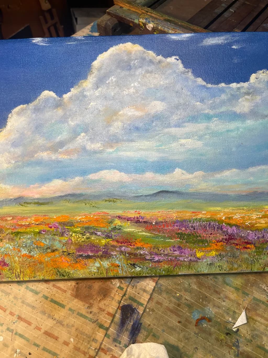 Flower Field Clouds