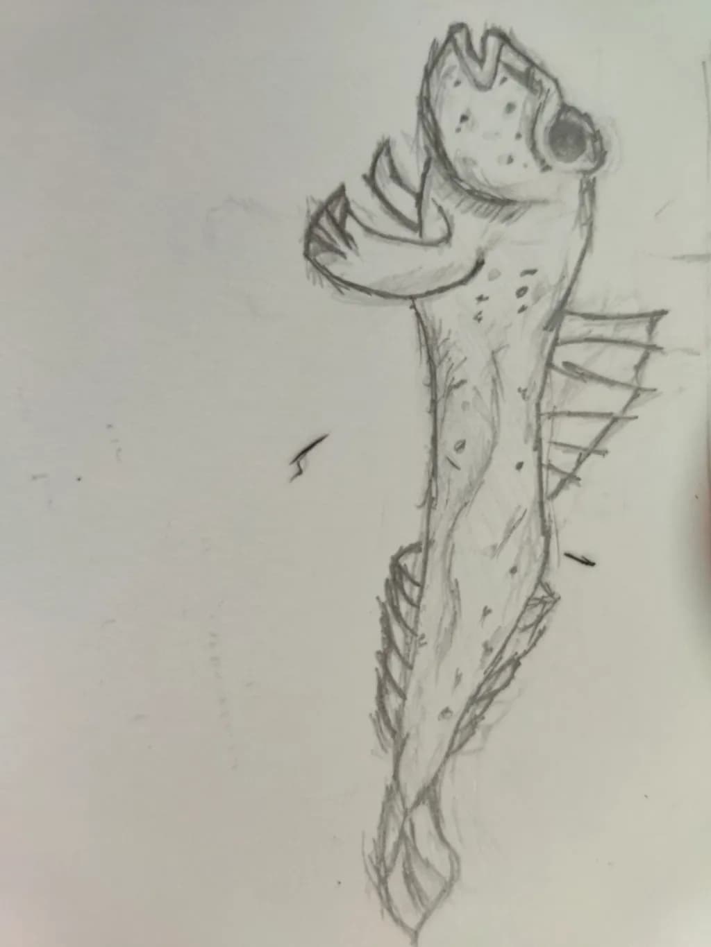 Spiny Gaze