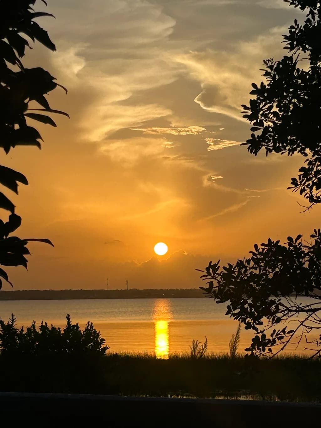 Golden Horizon