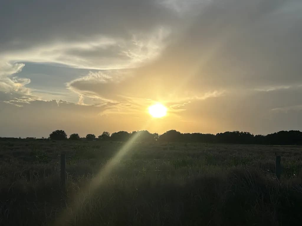 Golden Horizon