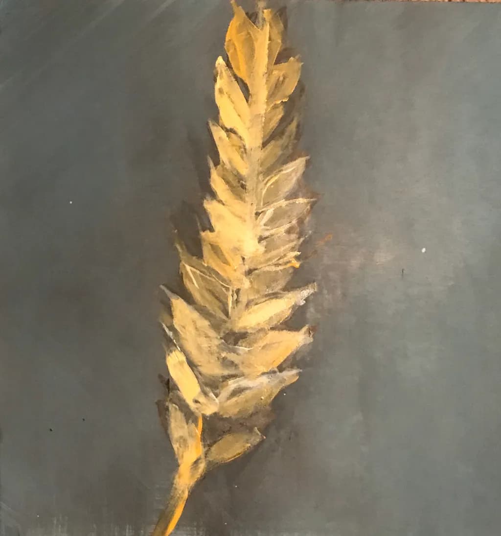 Golden Wheat Study
