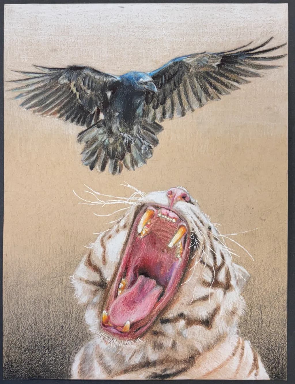 Clash of Flight