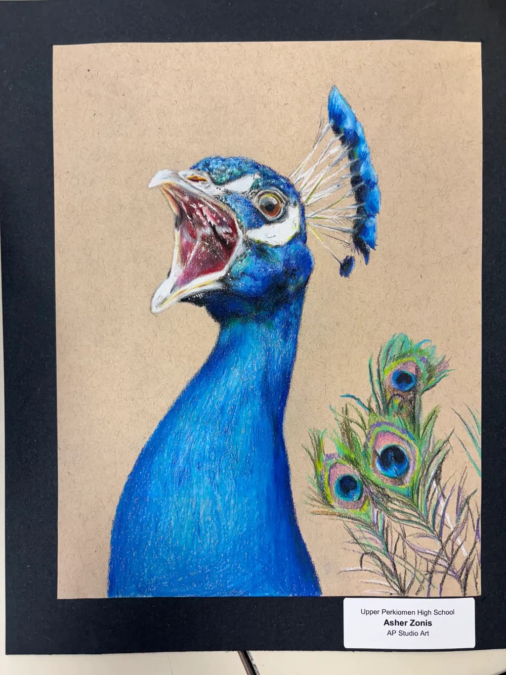 Peacock Call