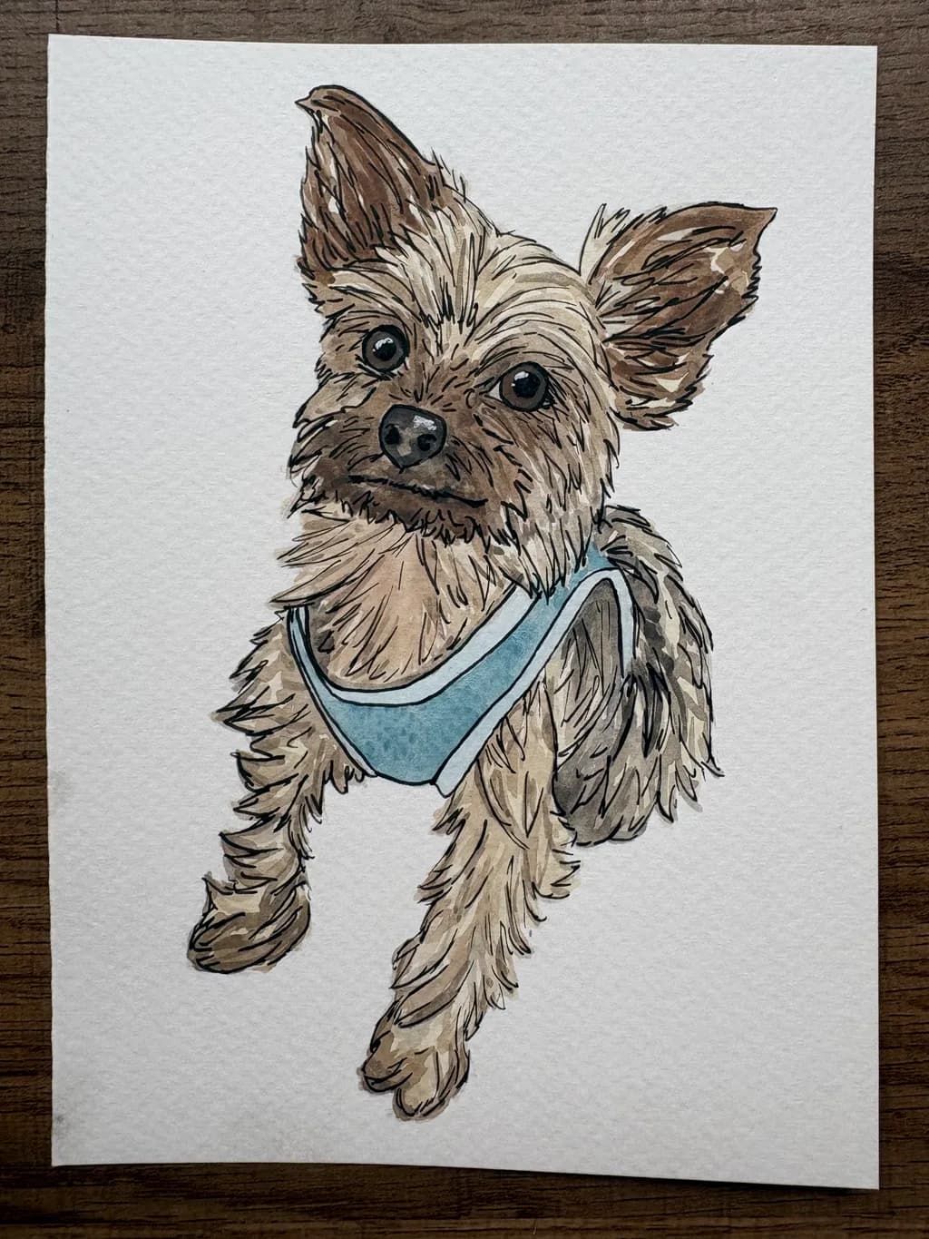 Curious Terrier