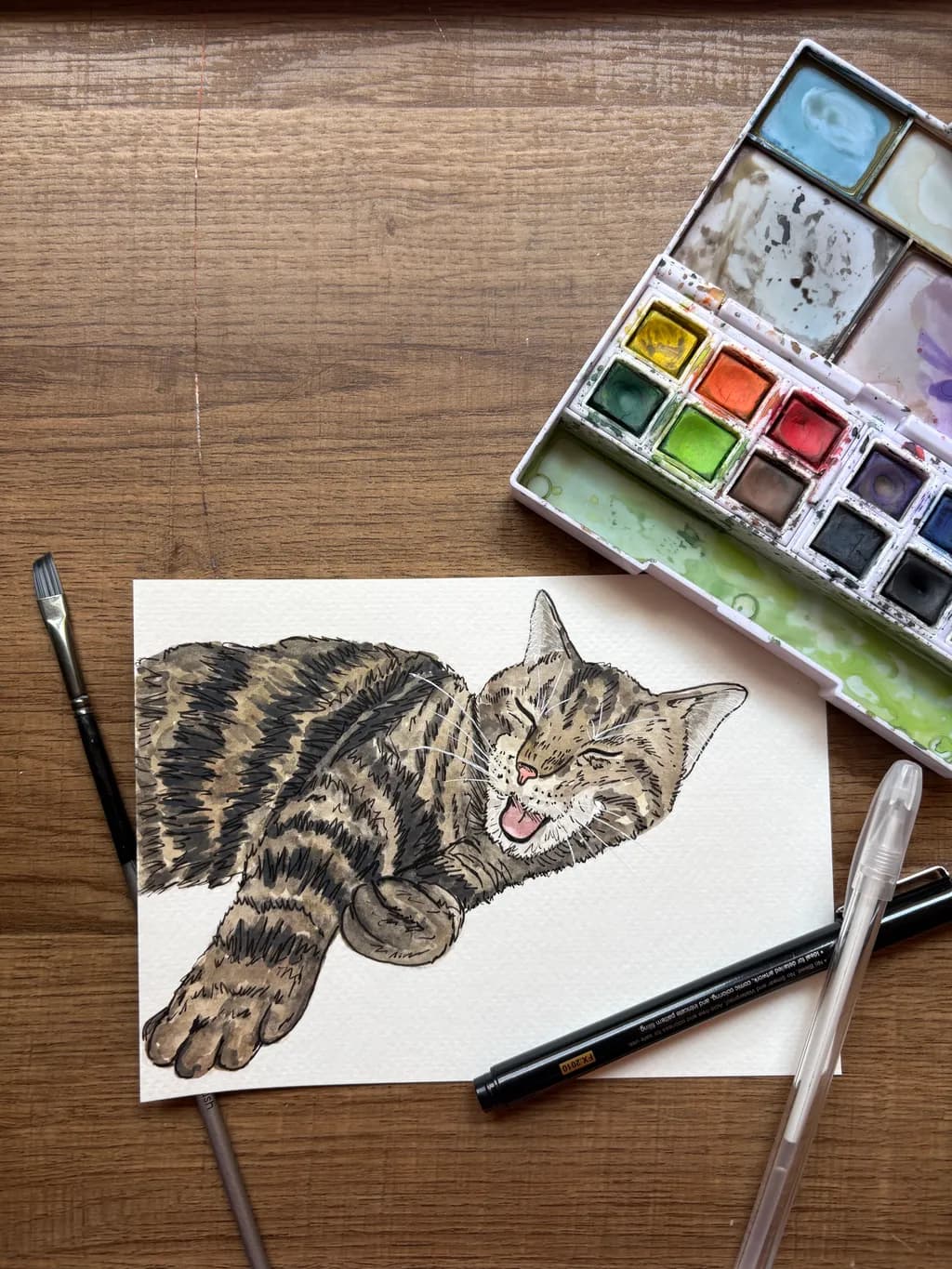 Playful Tabby