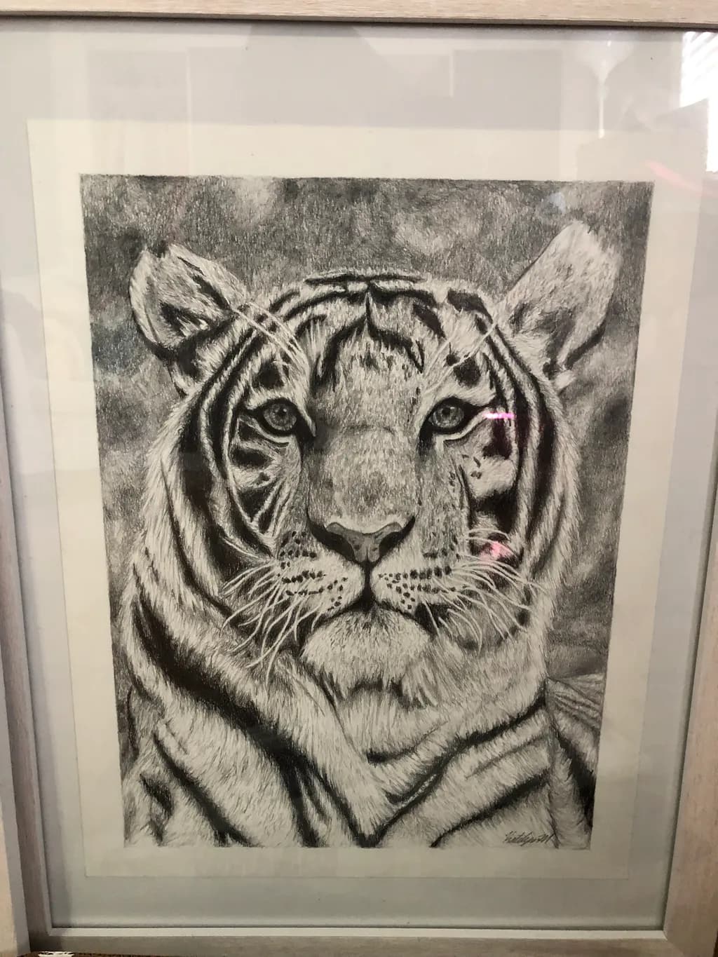 Stare of the Tiger