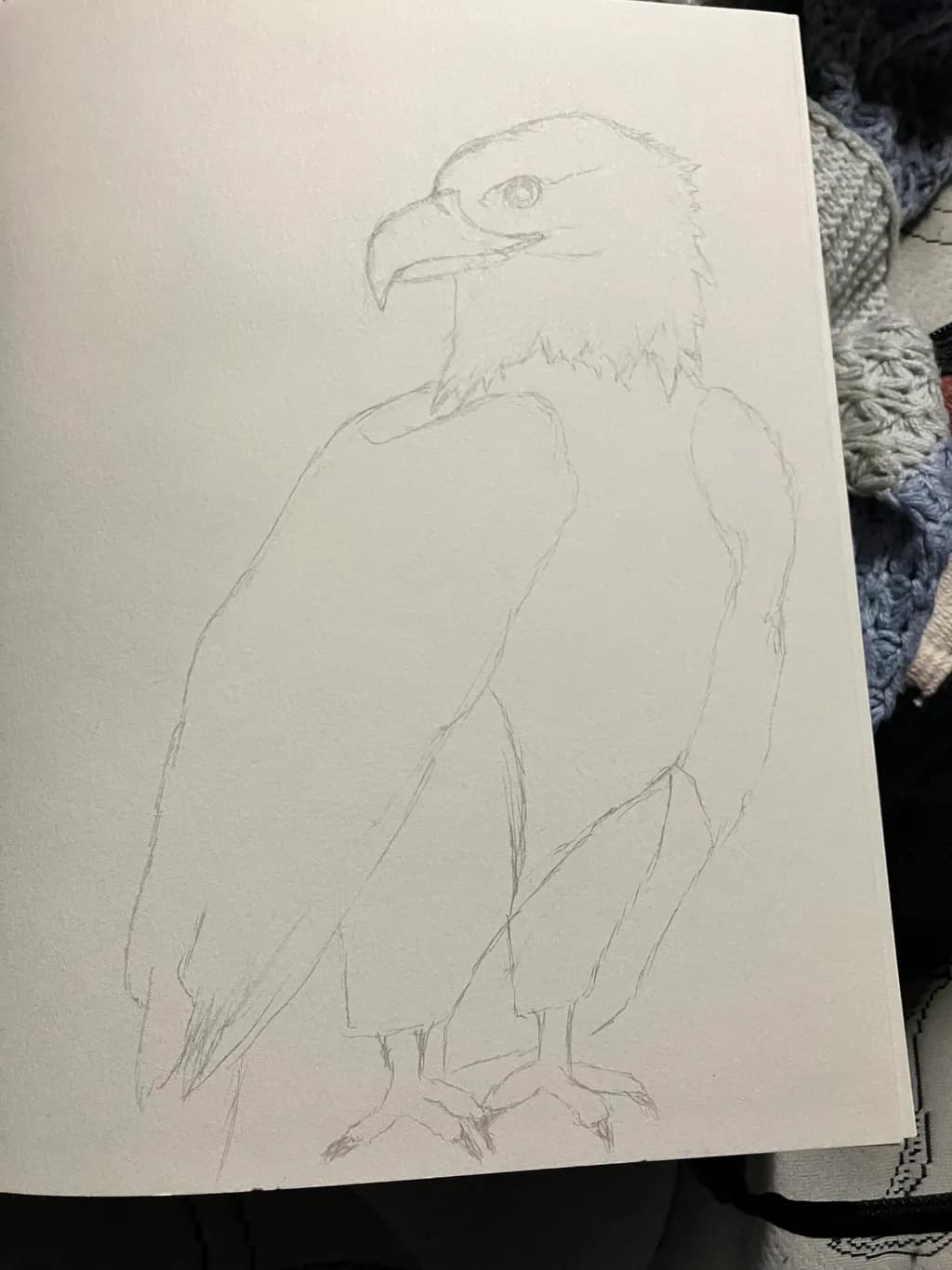 Eagle Outline