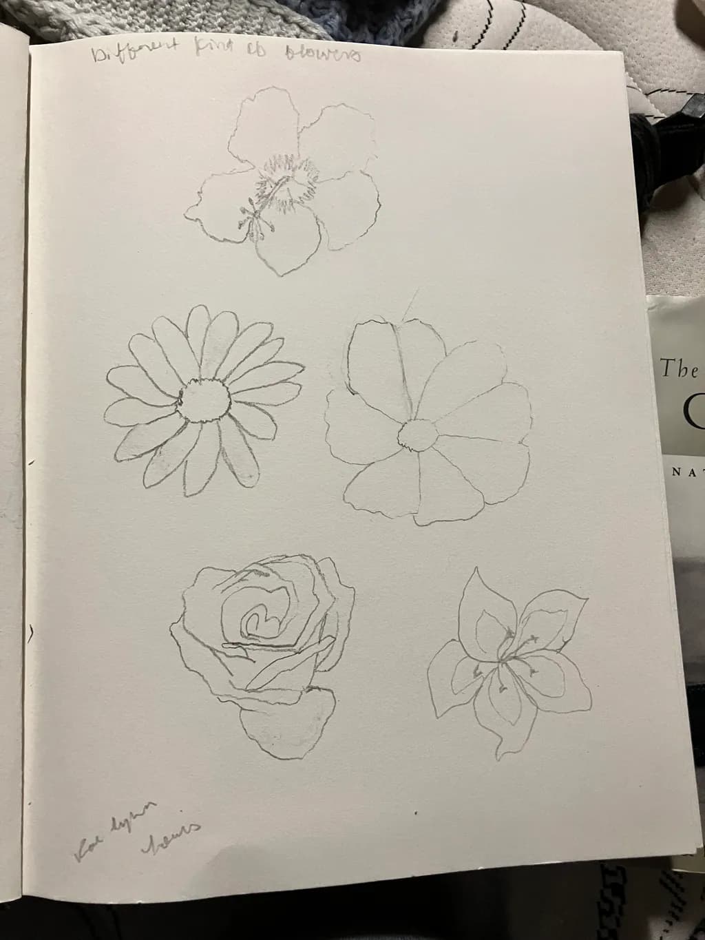 Different Kinds of Flowers