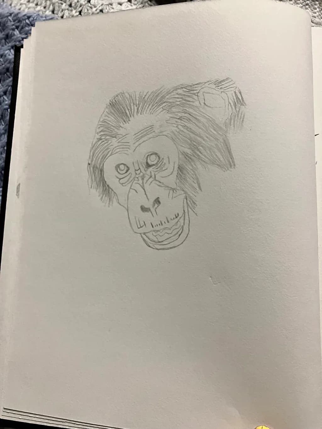 Chimpanzee Sketch