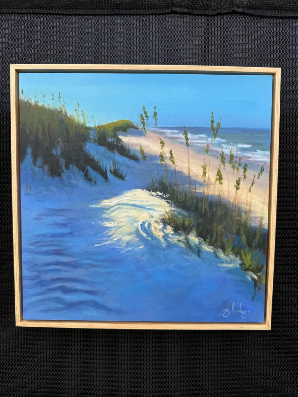 Coastal Dunes