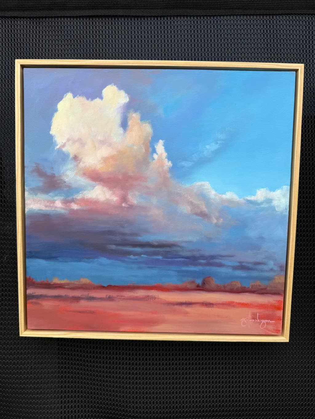 Desert Skyscape
